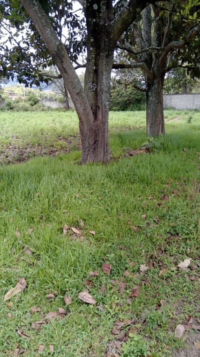 Vendo 13.600 Terreno Plano Sector Sta. Rosa (Ac) — imagen 10