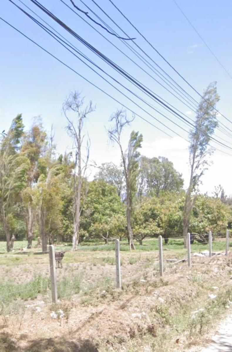 Vendo 13.600 Terreno Plano Sector Sta. Rosa (Ac) — imagen 9