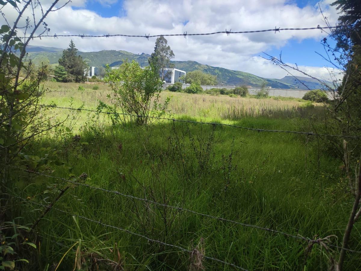 Vendo 13.600 Terreno Plano Sector Sta. Rosa (Ac) — imagen 8