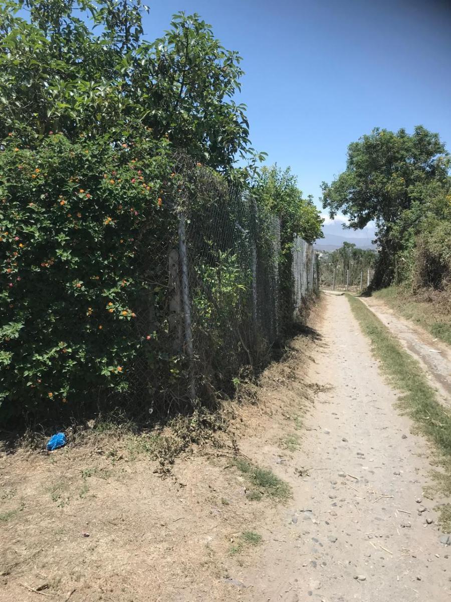 Vendo Terreno Plano - Sector Guayllabamba — imagen 10