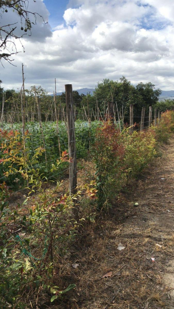 Vendo Terreno Plano - Sector Guayllabamba — imagen 6