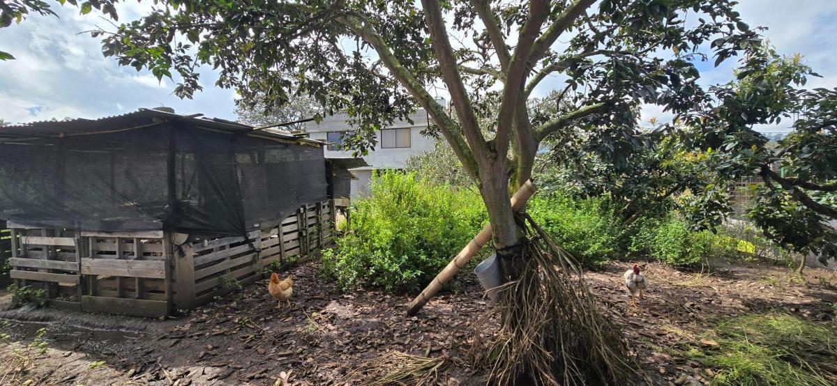 Se Vende Terreno en Tababela — imagen 4