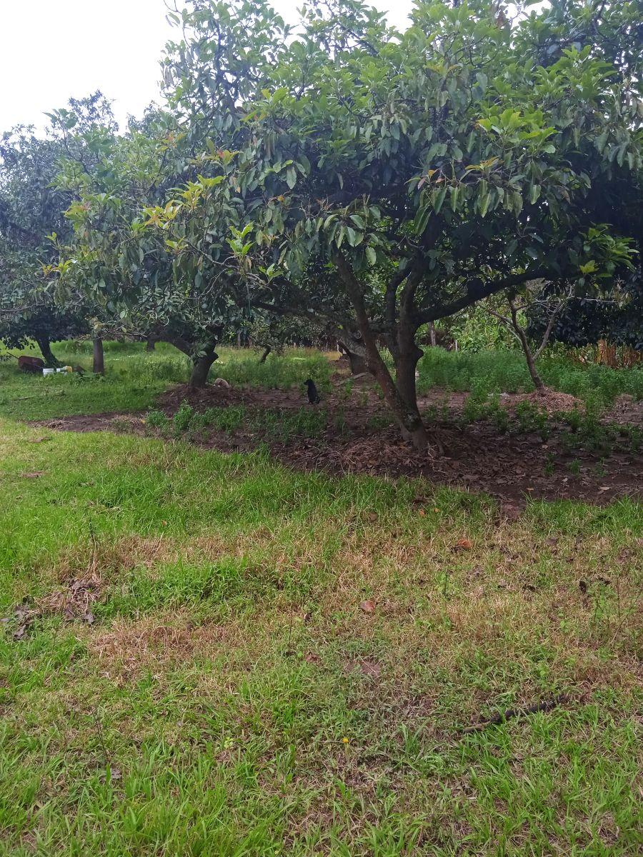 Terreno Plano a Precio de Oportunidad. Provincia de Pichincha — imagen 8