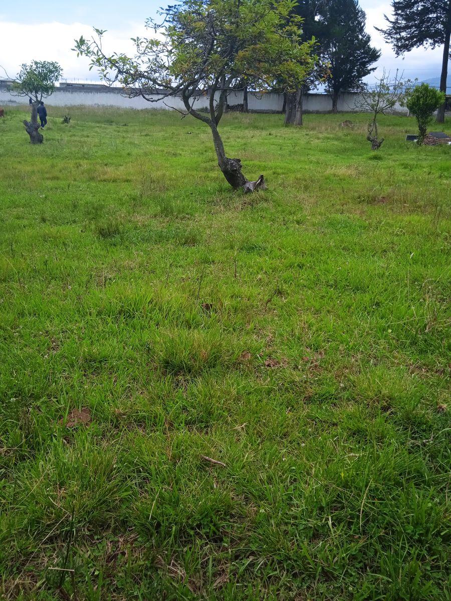 Terreno Plano a Precio de Oportunidad. Provincia de Pichincha — imagen 7