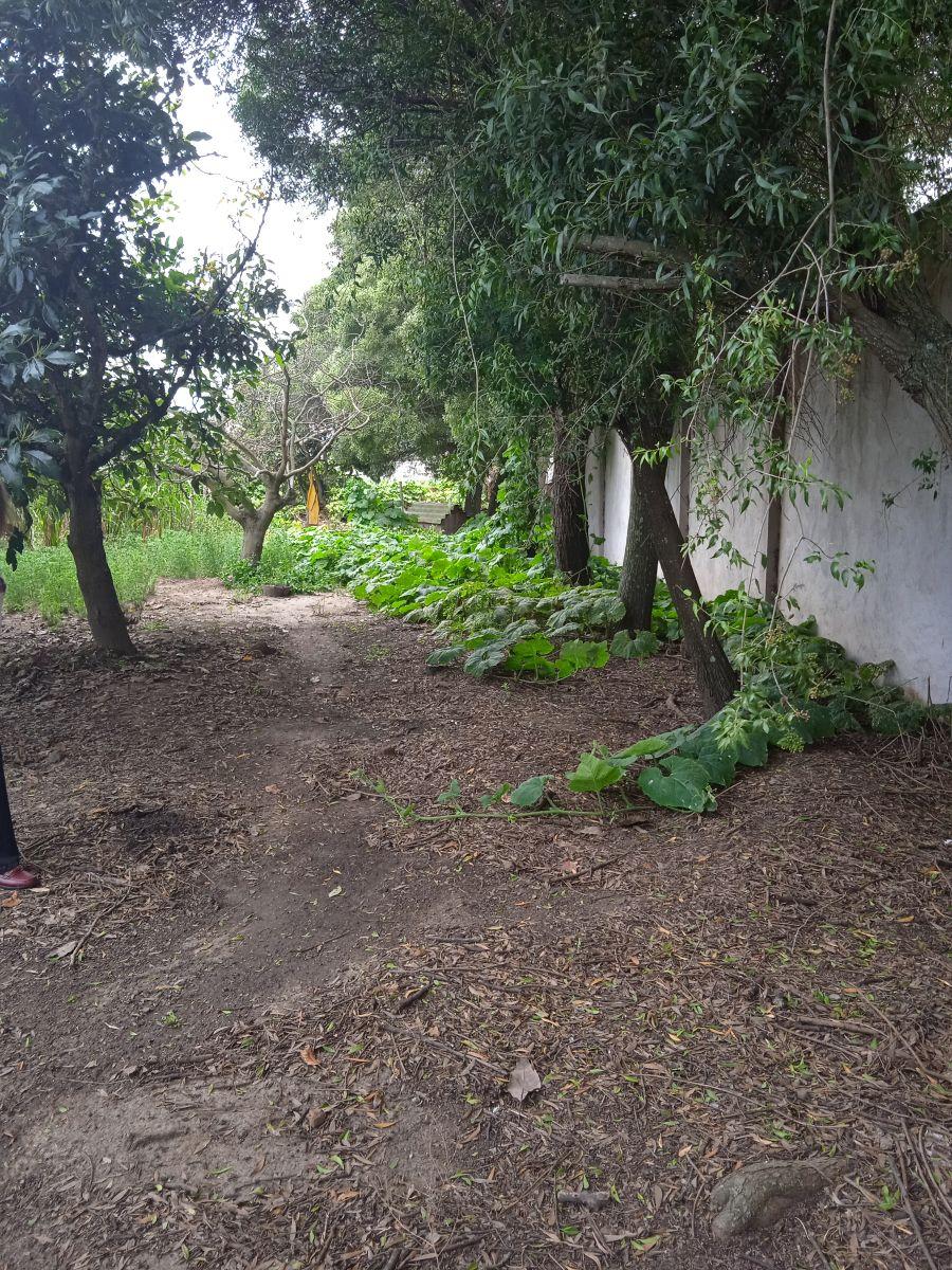 Terreno Plano a Precio de Oportunidad. Provincia de Pichincha — imagen 6