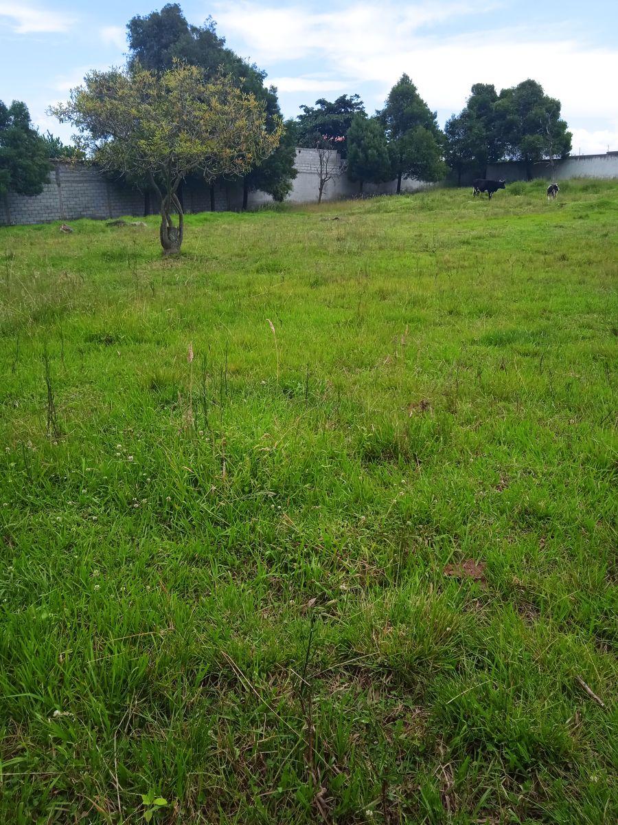 Terreno Plano a Precio de Oportunidad. Provincia de Pichincha — imagen 5