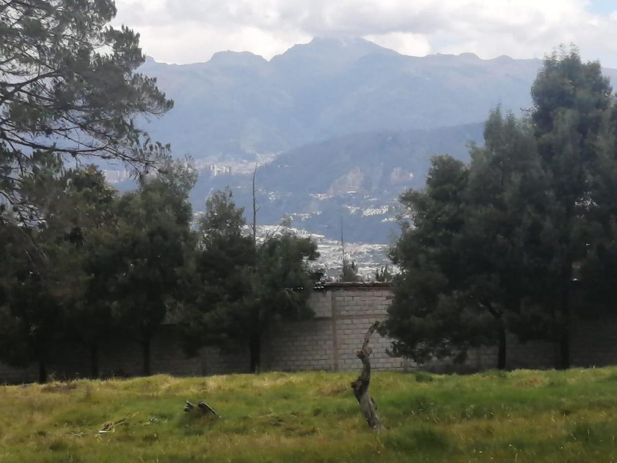 Terreno Plano a Precio de Oportunidad. Provincia de Pichincha — imagen 3