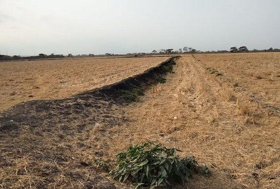 Terreno en Venta, Via Salitre, Guayas, Ecuador - C. Garcia, Guayas — imagen 4