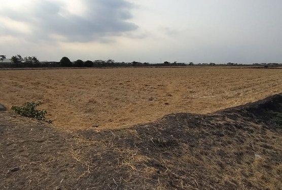 Terreno en Venta, Via Salitre, Guayas, Ecuador - C. Garcia, Guayas — imagen 3