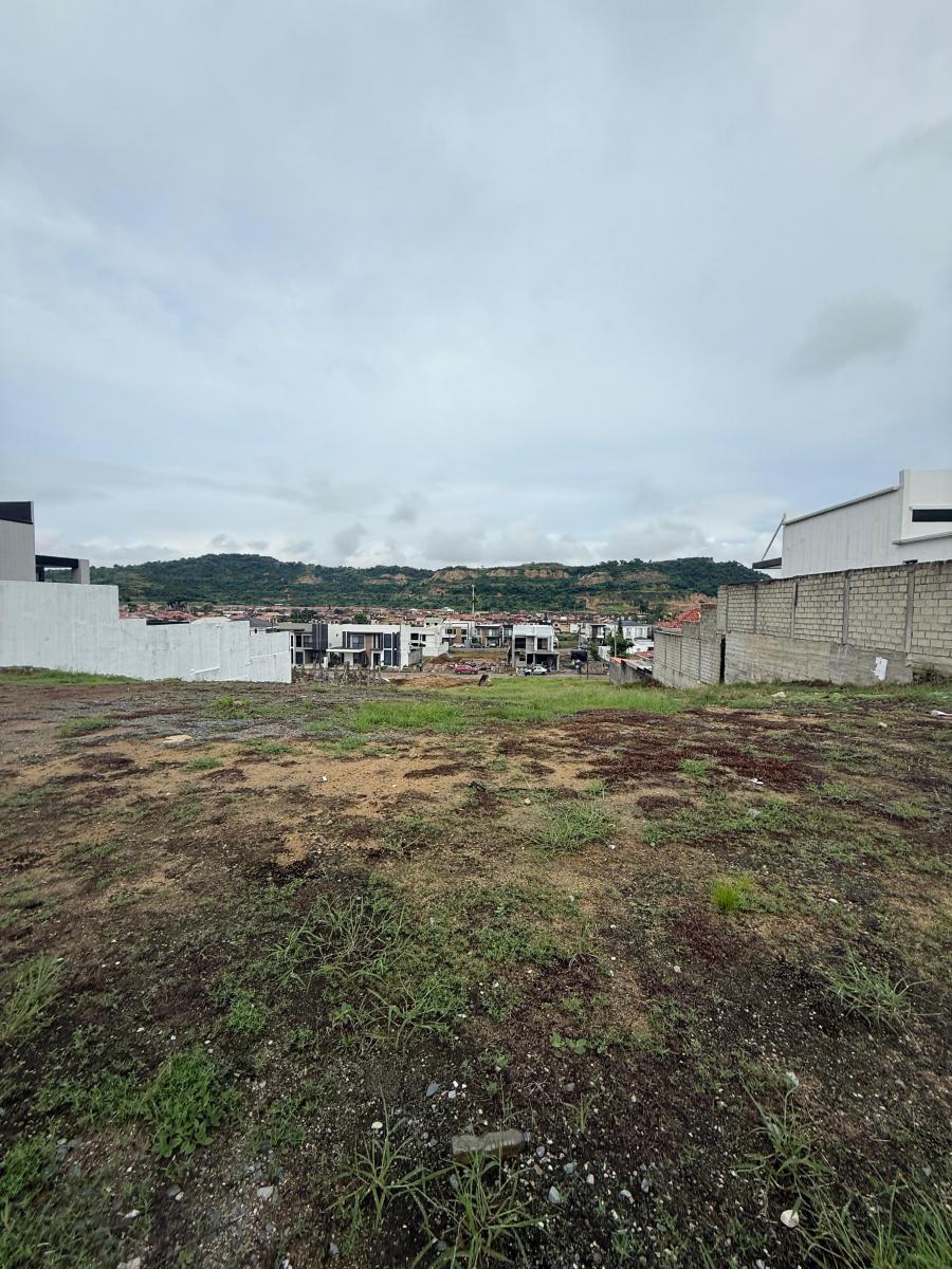 Terreno en El Condado Vicolinci, Guayas — imagen 8
