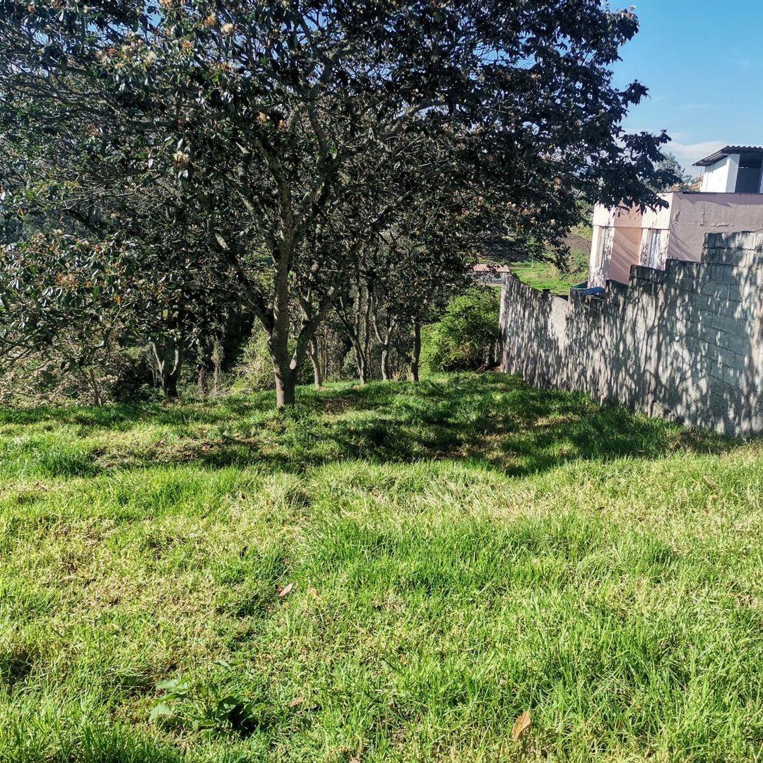 Terreno en Venta Residencial Centro Alangasí 3757 m — imagen 10