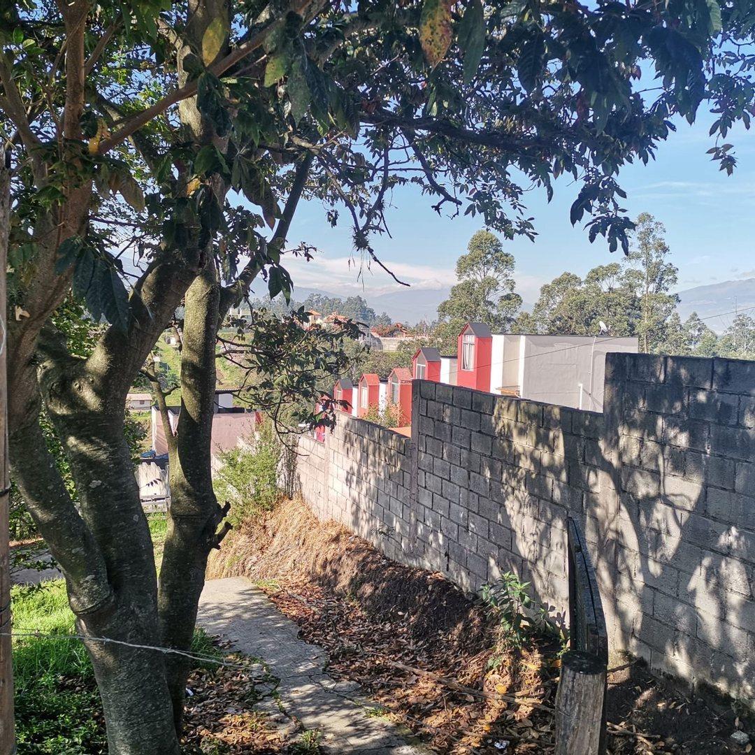 Terreno en Venta Residencial Centro Alangasí 3757 m — imagen 4