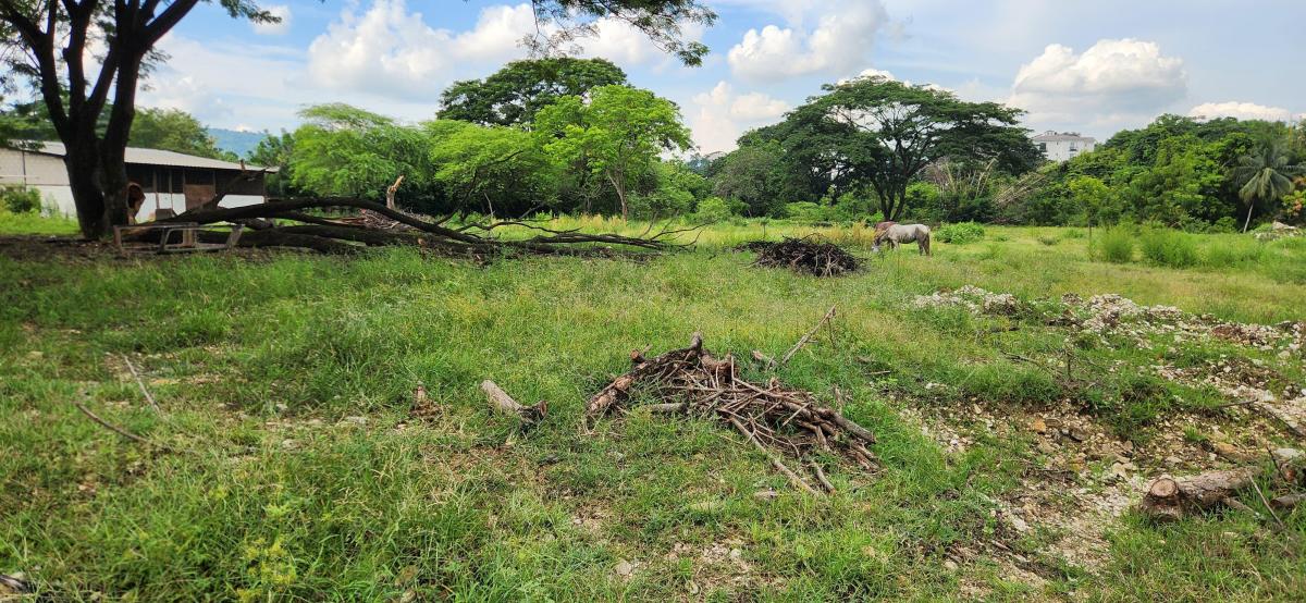 Terreno Comercial en Venta Via a La Costa - F. Brito, Guayas — imagen 3