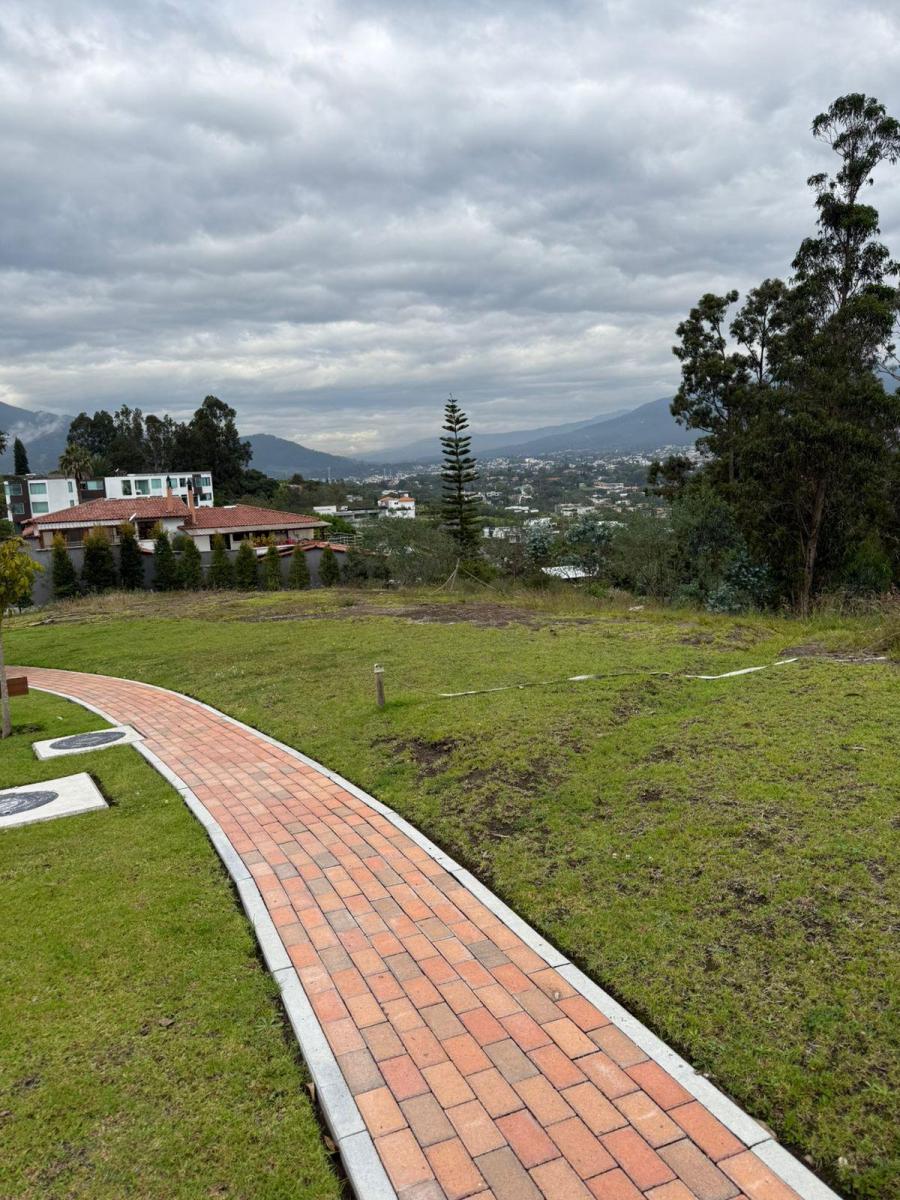 Se Vende Hermoso Terreno en Urbanización Loma de Pillagua Cumbaya — imagen 3