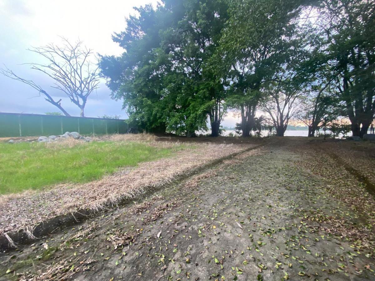 En Venta Terreno en La Via Samborondon Km 5,5 - K. Aguirre, Guayas — imagen 8