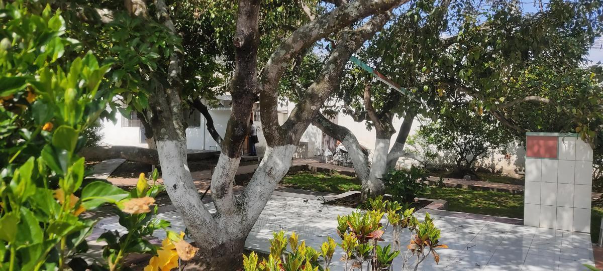 Casa y Terreno en Tumbaco en Venta - a 2 Minutos del Tia — imagen 4