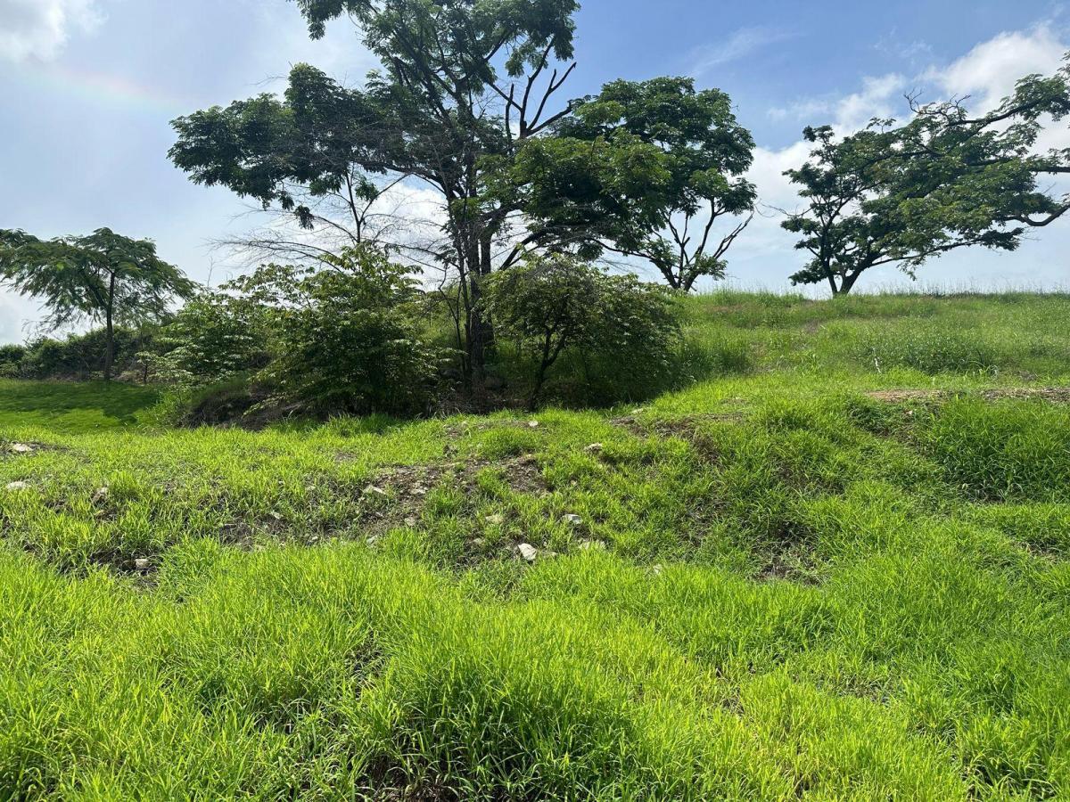 Venta de Terreno 694 m² Urbanizacion Condado Vicolinci Samboron Aurora Jp, Guayas — imagen 8