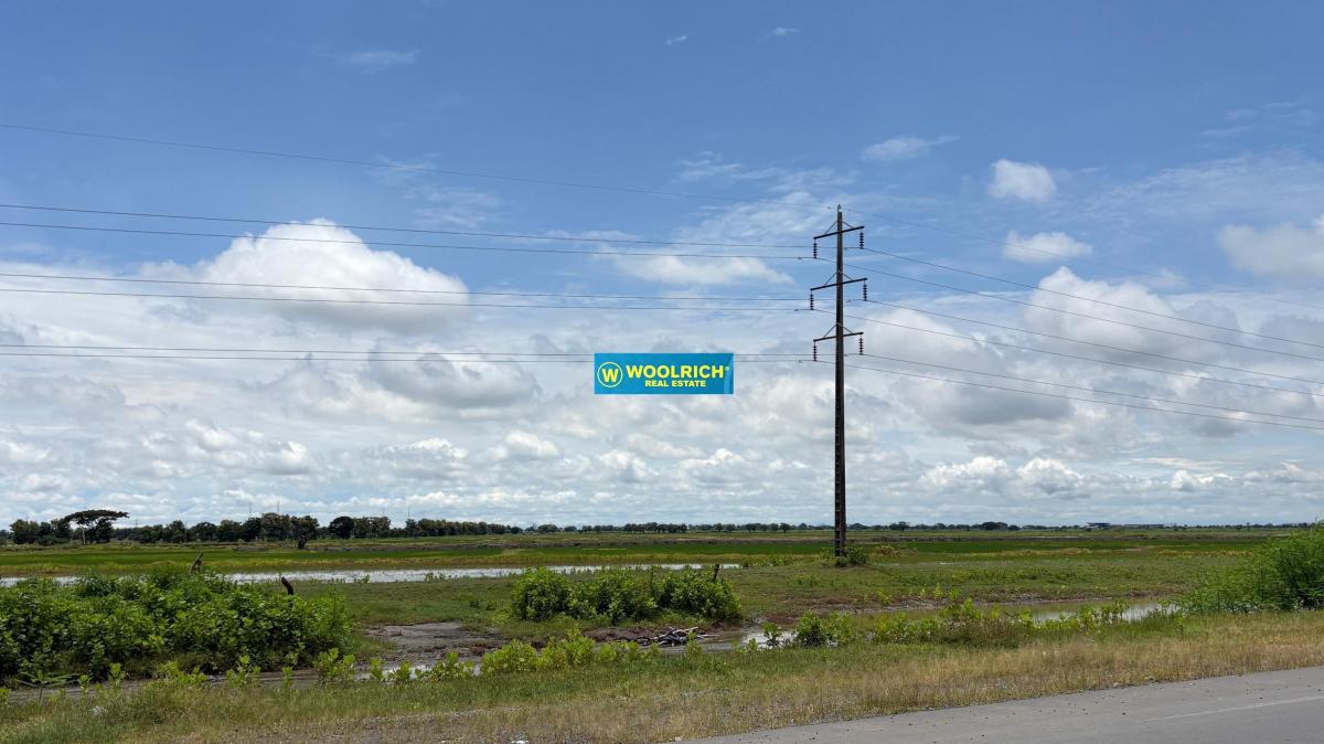 Frente a Piady, Vendo Macrolote, Via Duran Yaguachi, 118 Ha/uso Suelo Industrial, Guayas — imagen 9