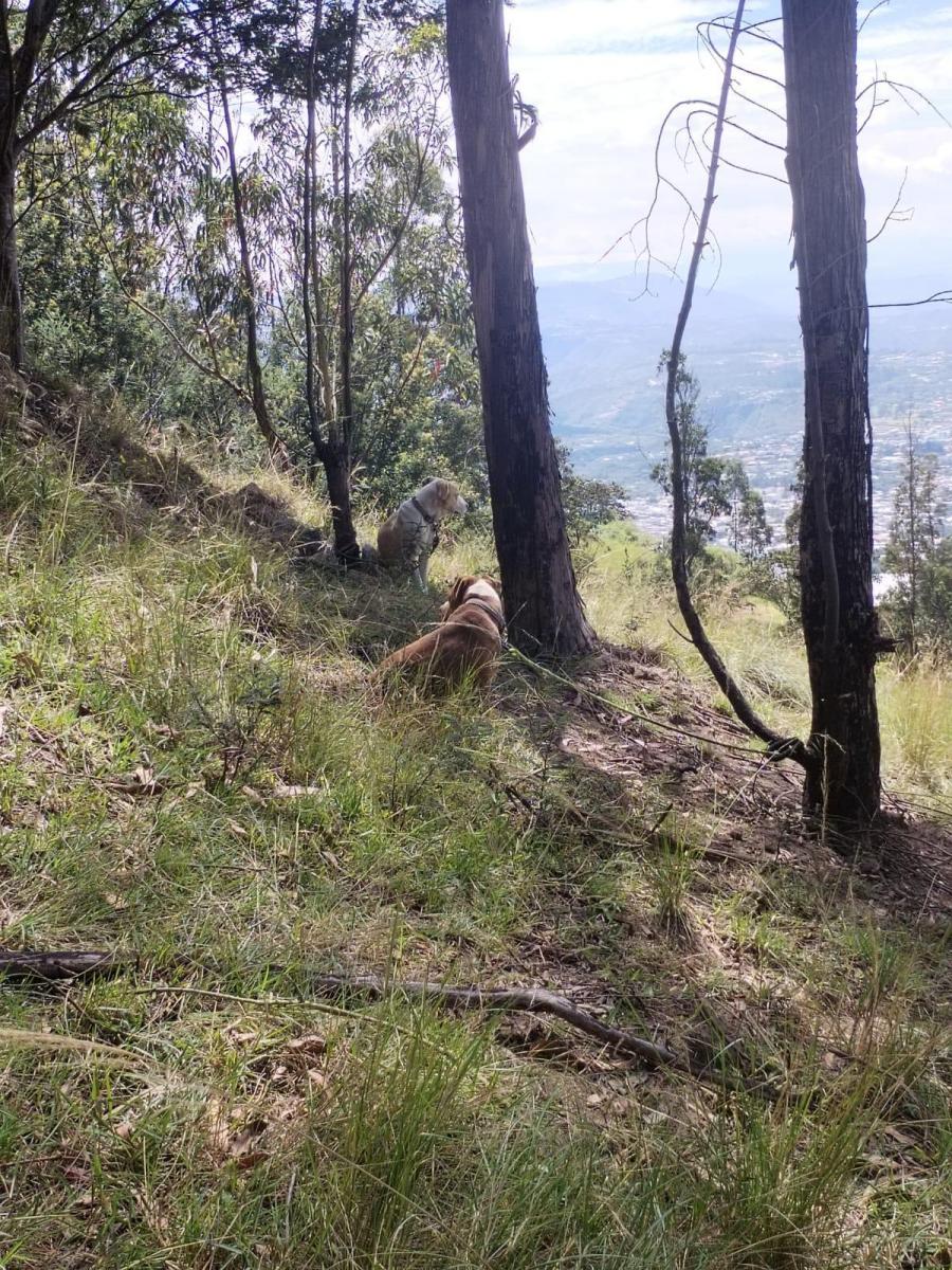 Vendo Terreno Comunal en Tumbaco - Sector El Cangahual — imagen 3