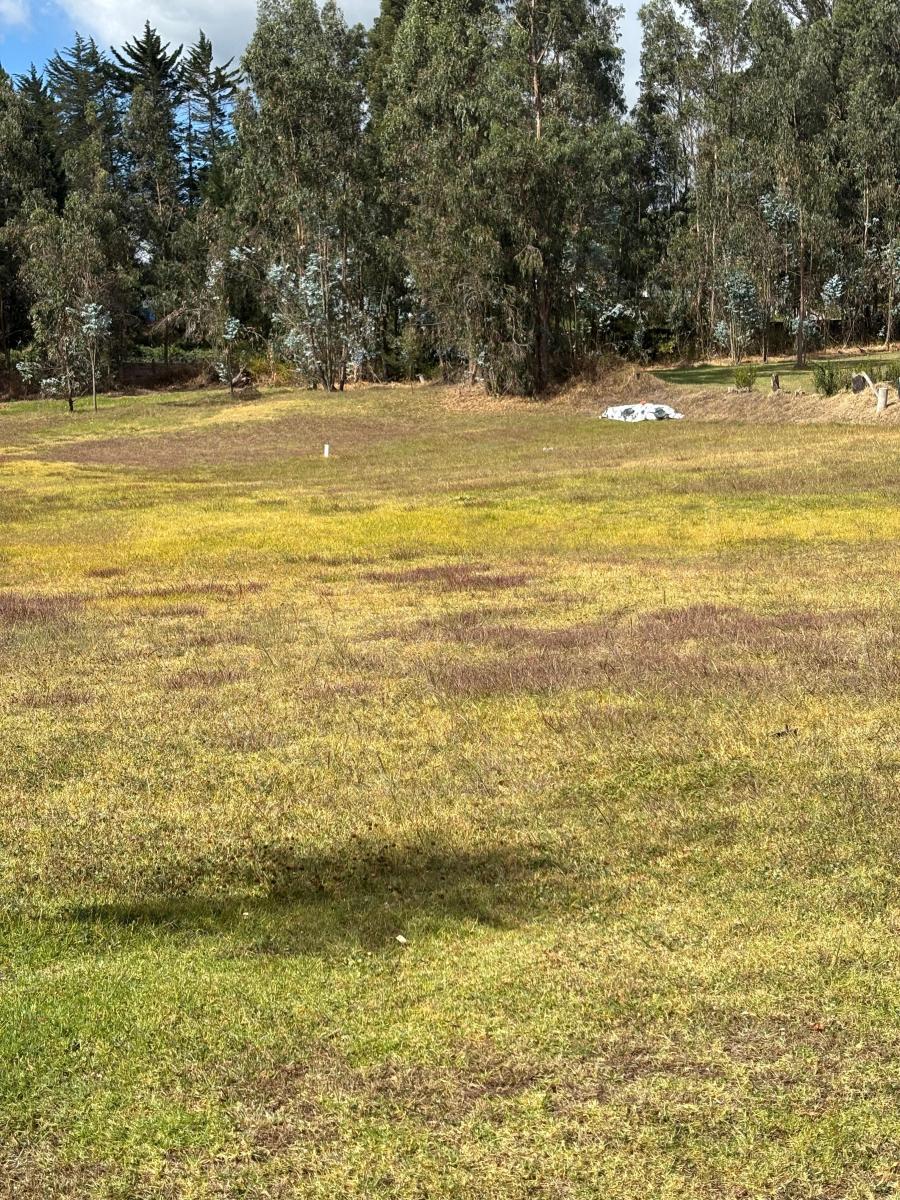 Lindoterreno Independiente Dentro de Conjunto. Provincia de Pichincha — imagen 5