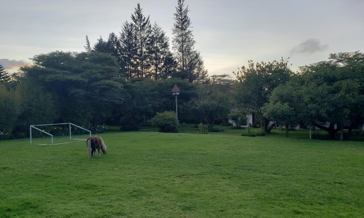 Quinche Quinta de Venta Precio de Oportunidad — imagen 3