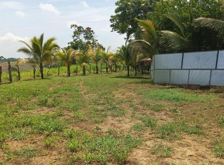 Terreno a La Venta en Sabanilla, Guayas — imagen 9