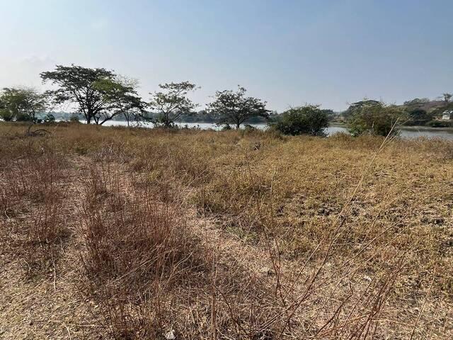 Terreno a La Venta en Sabanilla, Guayas — imagen 8