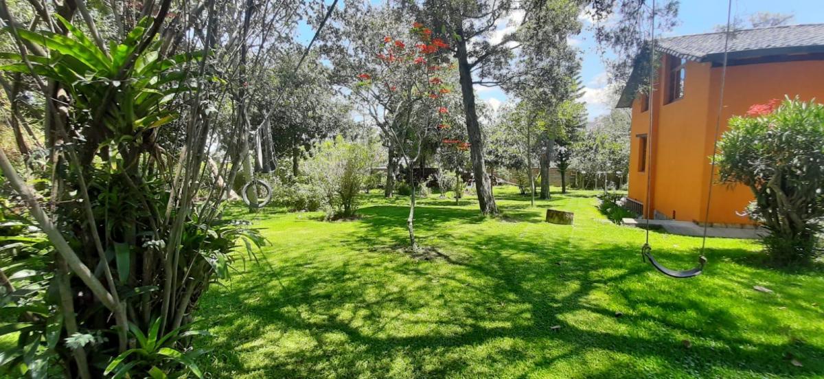 Vendo Casa Independiente en Puembo — imagen 10