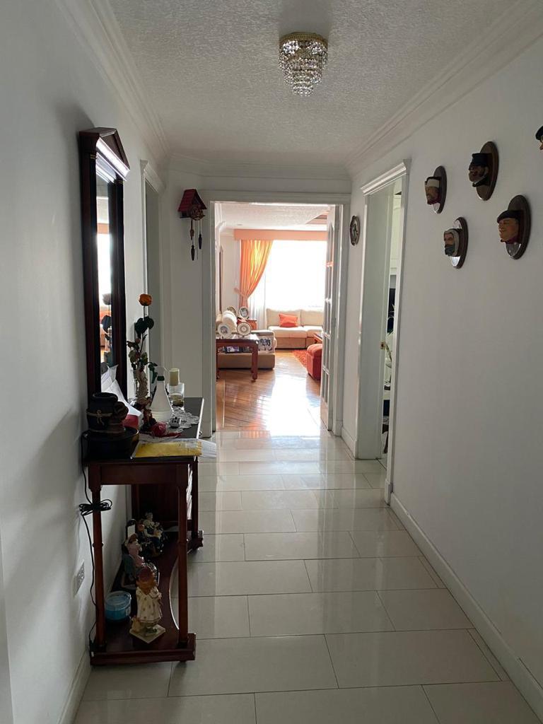 Venta Departamento 3 Dorm. Bellavista Sala Estar 243 m Amplio — imagen 10