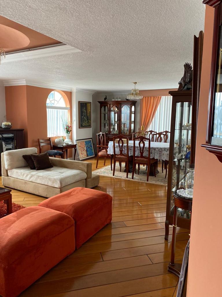 Venta Departamento 3 Dorm. Bellavista Sala Estar 243 m Amplio — imagen 8
