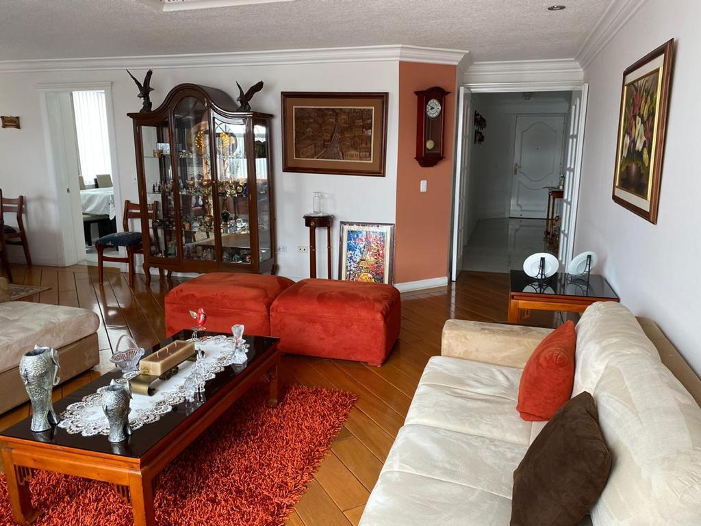 Venta Departamento 3 Dorm. Bellavista Sala Estar 243 m Amplio — imagen 7