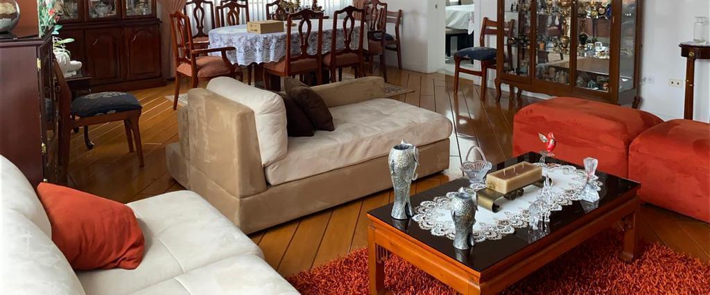 Venta Departamento 3 Dorm. Bellavista Sala Estar 243 m Amplio — imagen 5