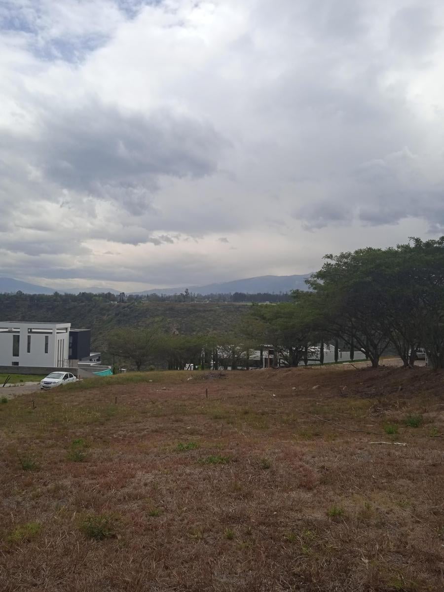 Lindo Terreno de 900 m² en Conjunto Cerrado. Provincia de Pichincha — imagen 7