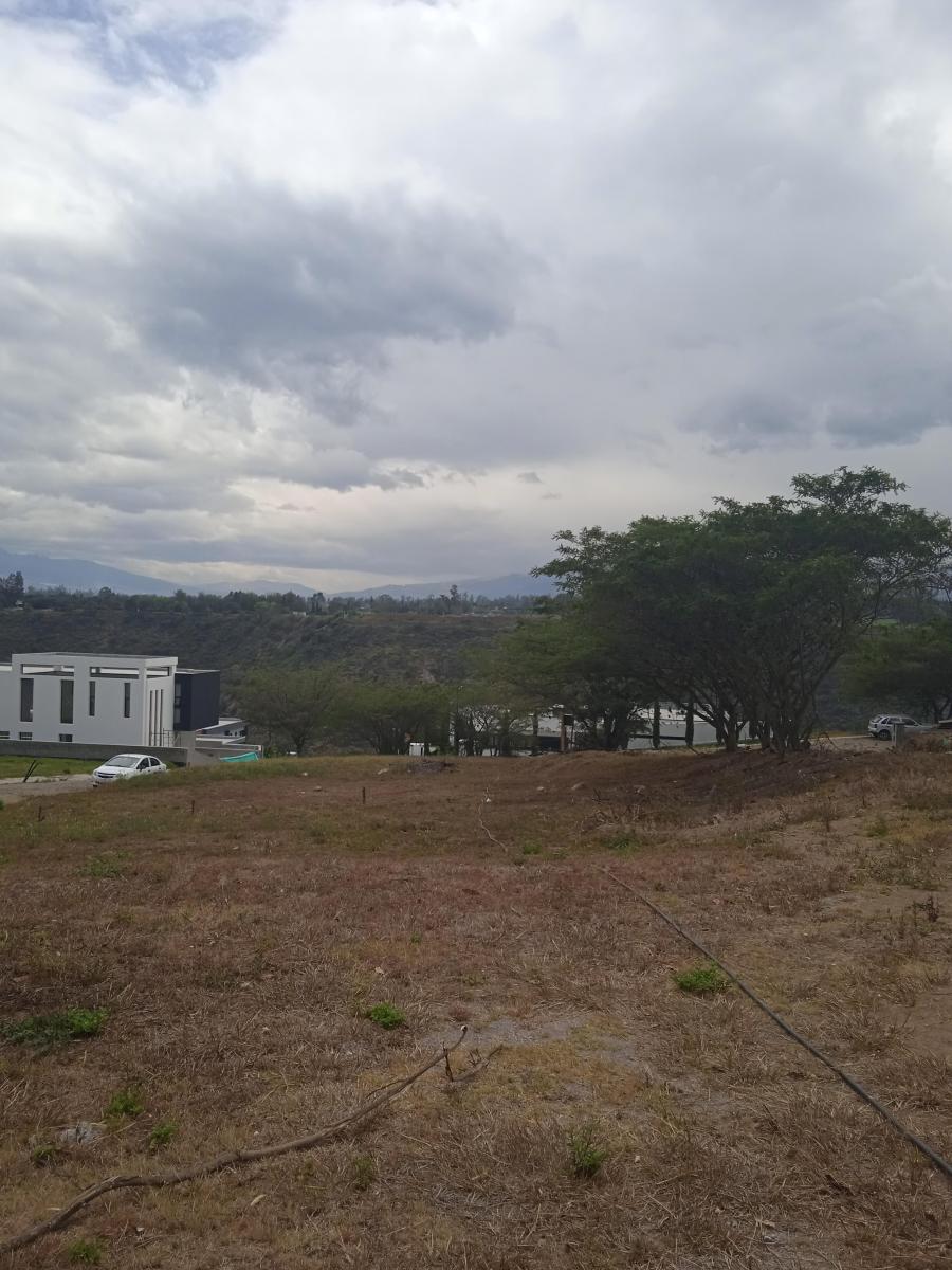 Lindo Terreno de 900 m² en Conjunto Cerrado. Provincia de Pichincha — imagen 6