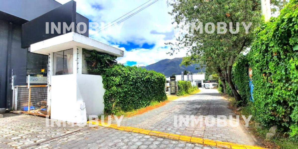 Vendo Terreno Comercial - Av Galo Plaza Lasso — imagen 6
