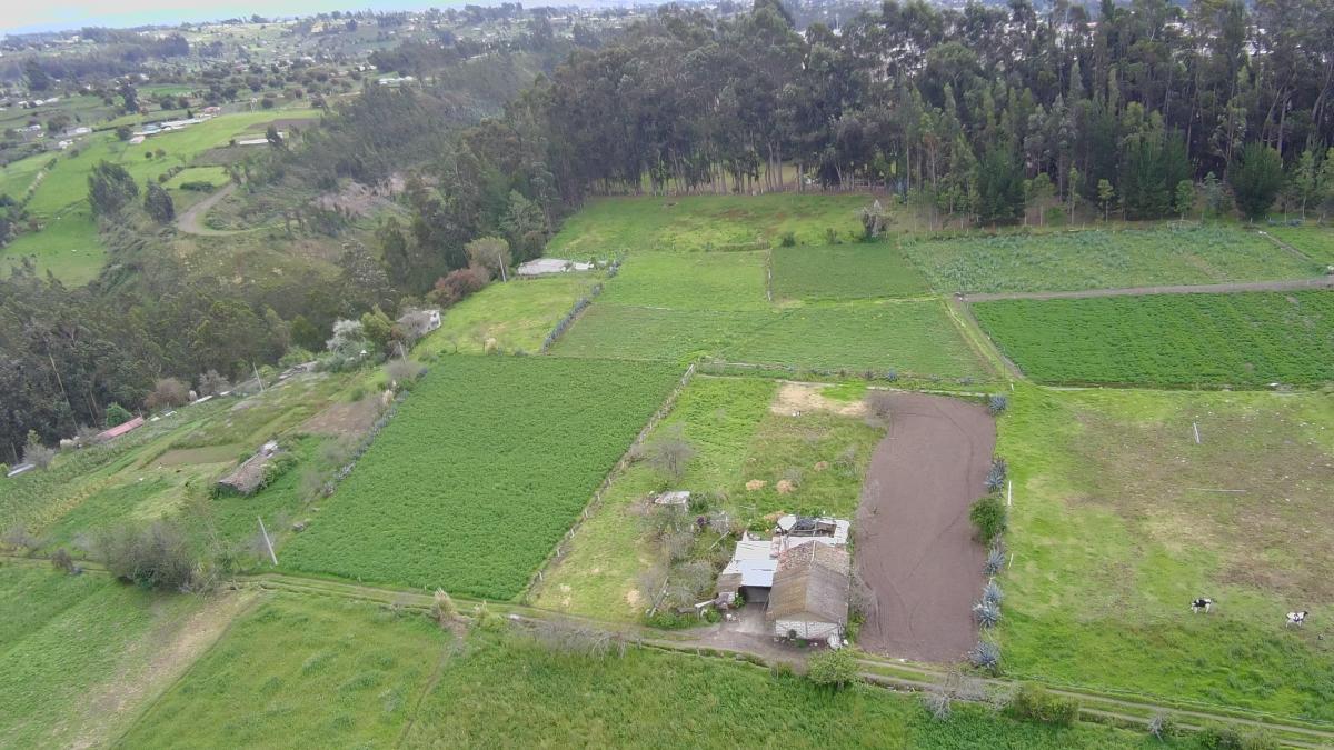 Terreno de Venta en Quero - Quiambe 935 m², Tungurahua — imagen 8