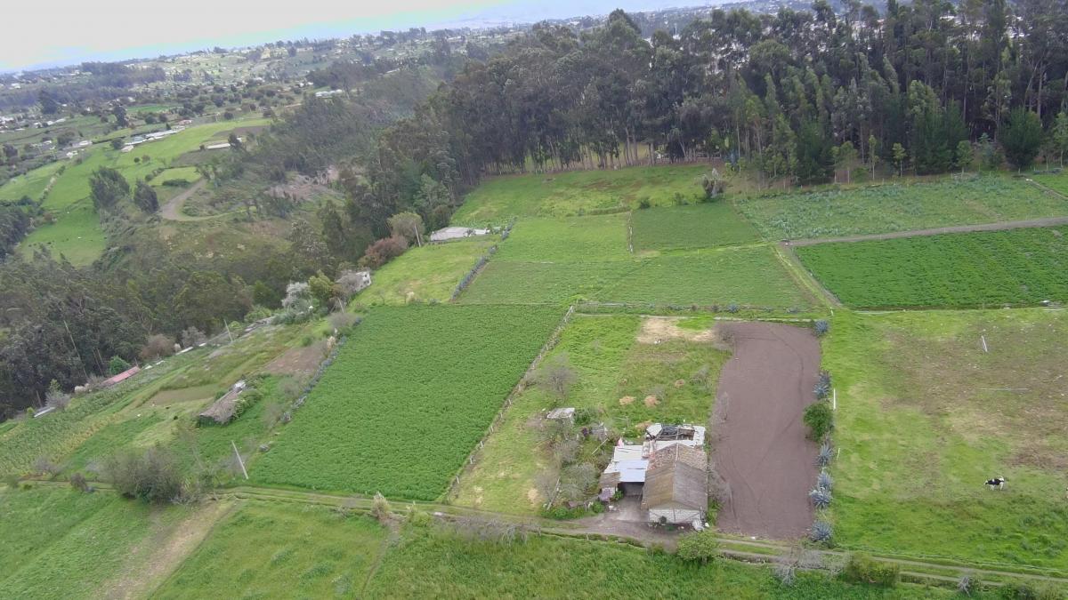 Terreno de Venta en Quero - Quiambe 935 m², Tungurahua — imagen 7