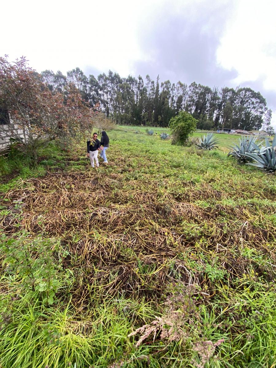 Terreno de Venta en Quero - Quiambe 935 m², Tungurahua — imagen 5