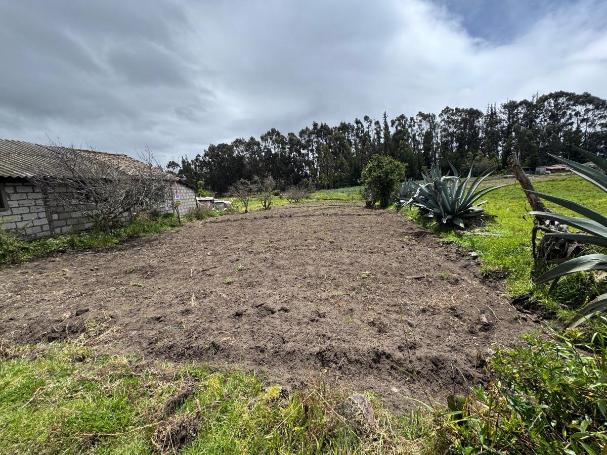 Terreno de Venta en Quero - Quiambe 935 m², Tungurahua — imagen 4
