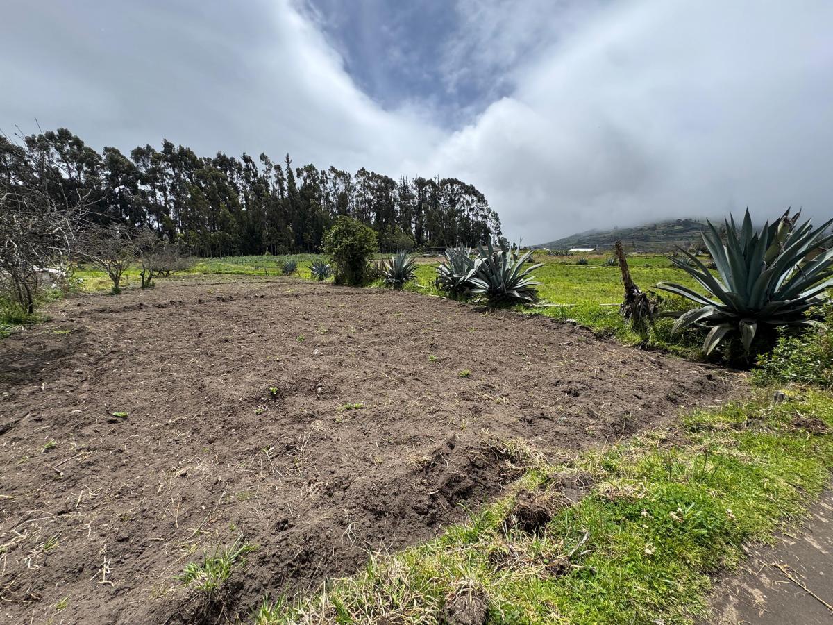 Terreno de Venta en Quero - Quiambe 935 m², Tungurahua — imagen 3