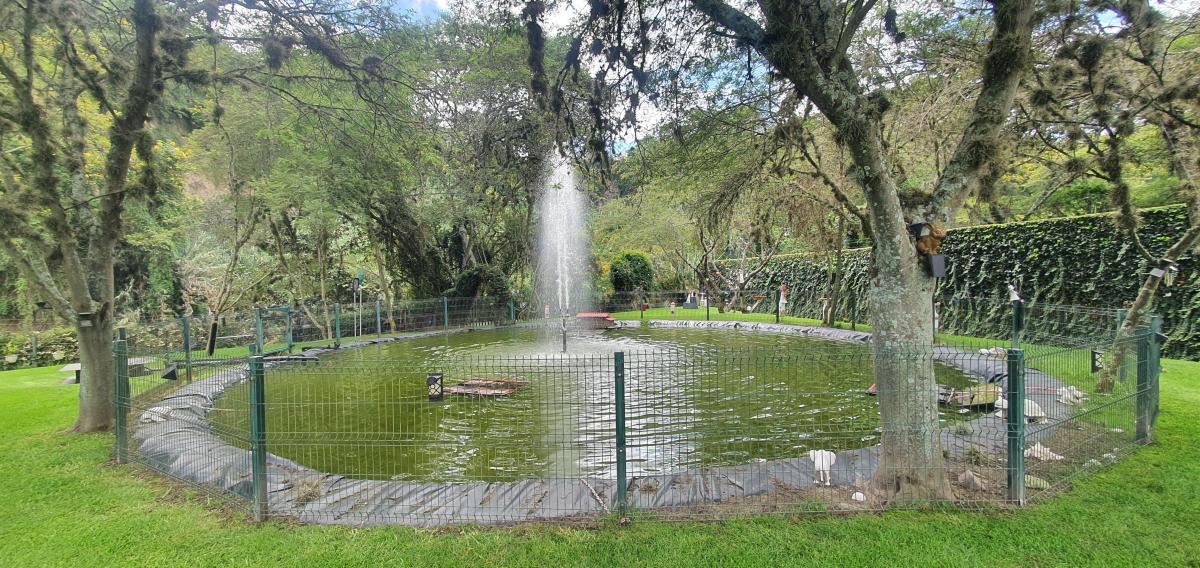 Venta - Bonita Casa de 4 Dorm. con Cancha de Futbol - Cumbaya — imagen 4