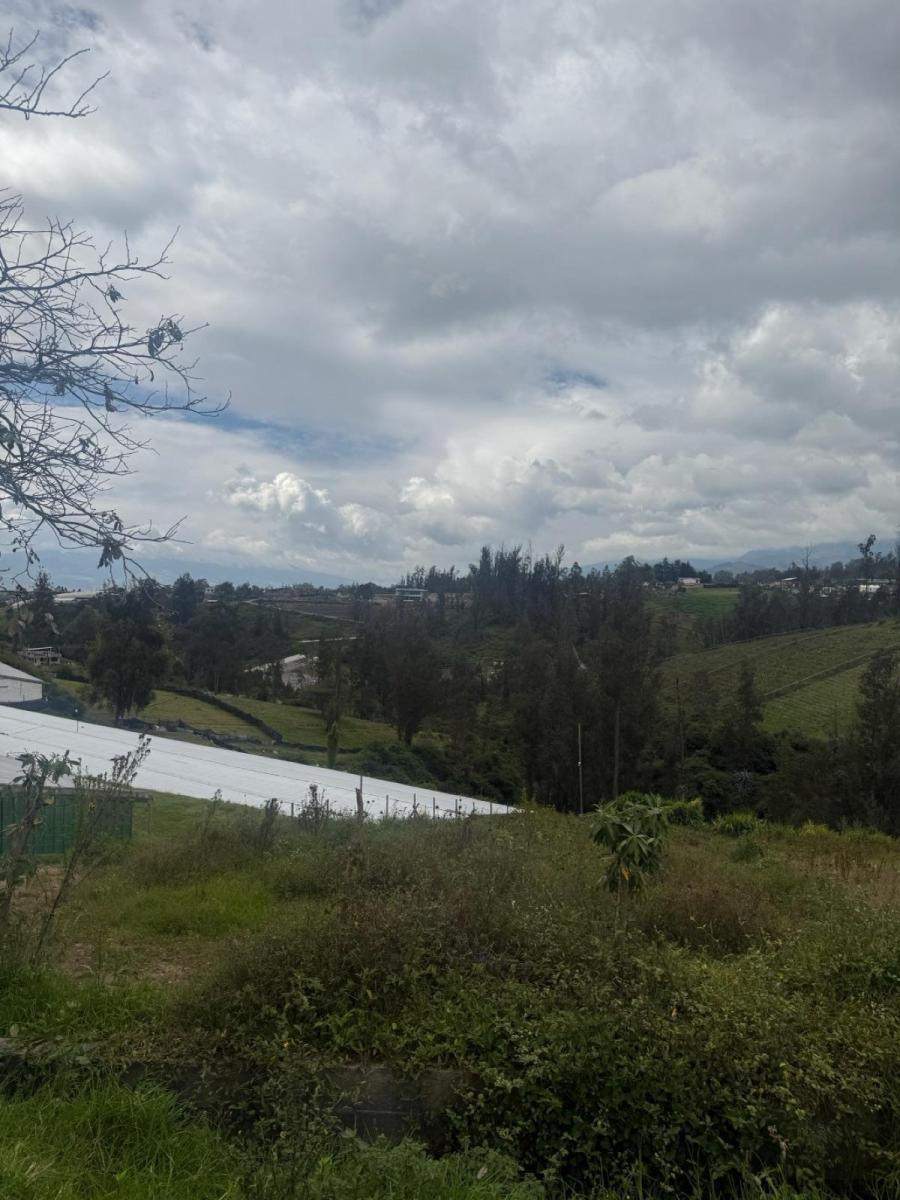 Terreno - Yaruqui — imagen 5