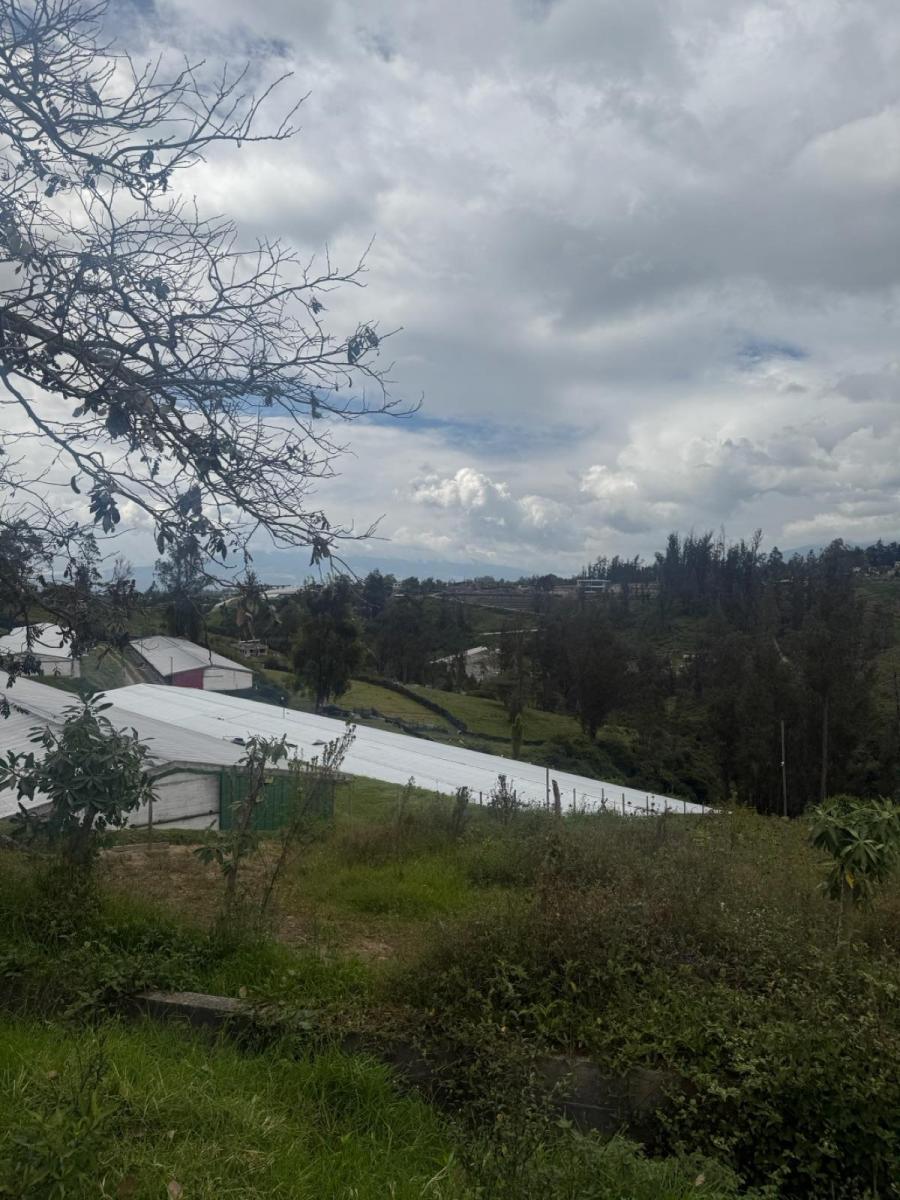 Terreno - Yaruqui — imagen 4