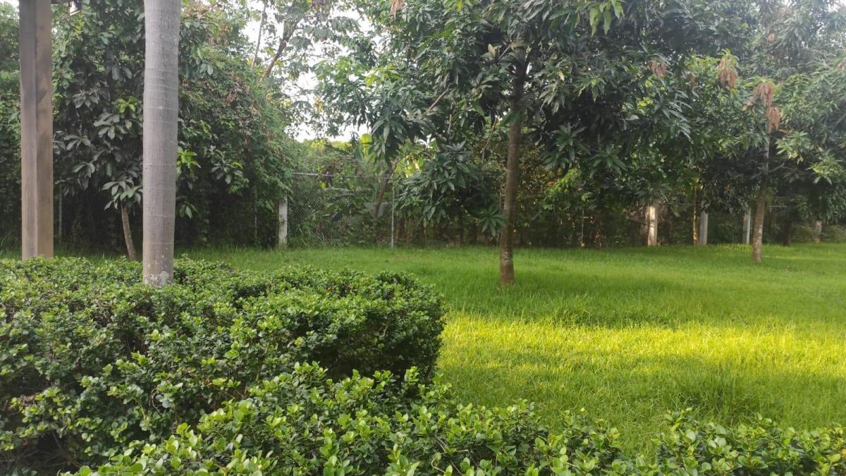 Vendo Departamento Casi Nuevo en Villas del Bosque Planta Baja 3 Dorm., Guayas — imagen 3