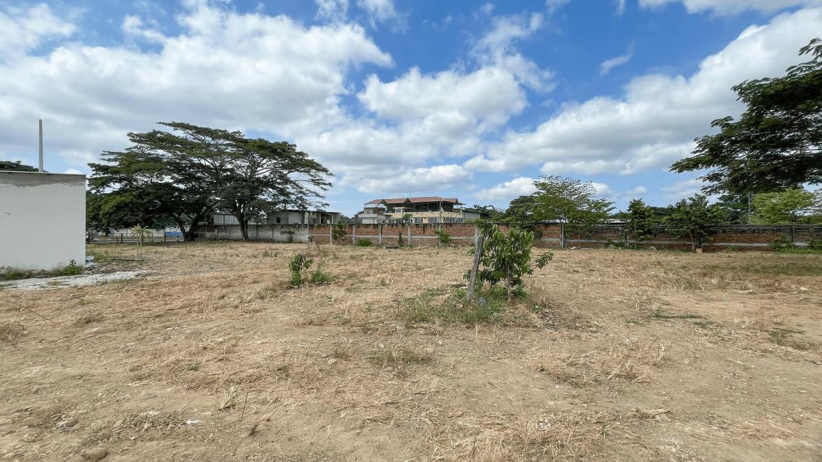 Terreno en Venta Via a La Costa Chongon (Vicszo), Guayas — imagen 8