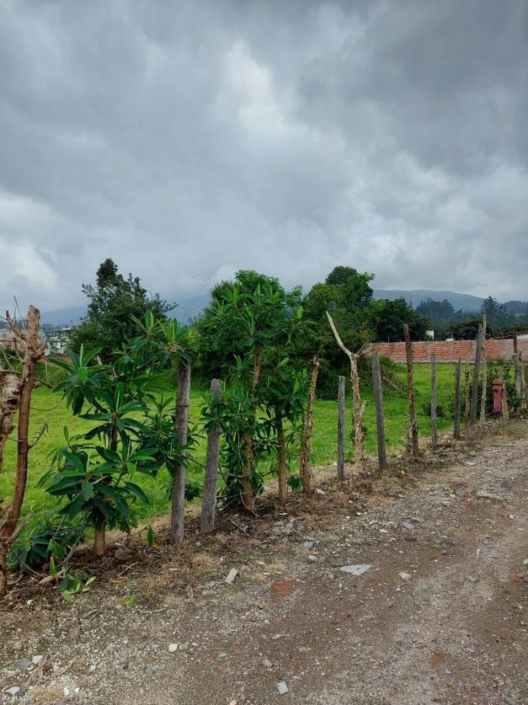 Lindo Lote en Pifo Centro 1000 m² — imagen 3