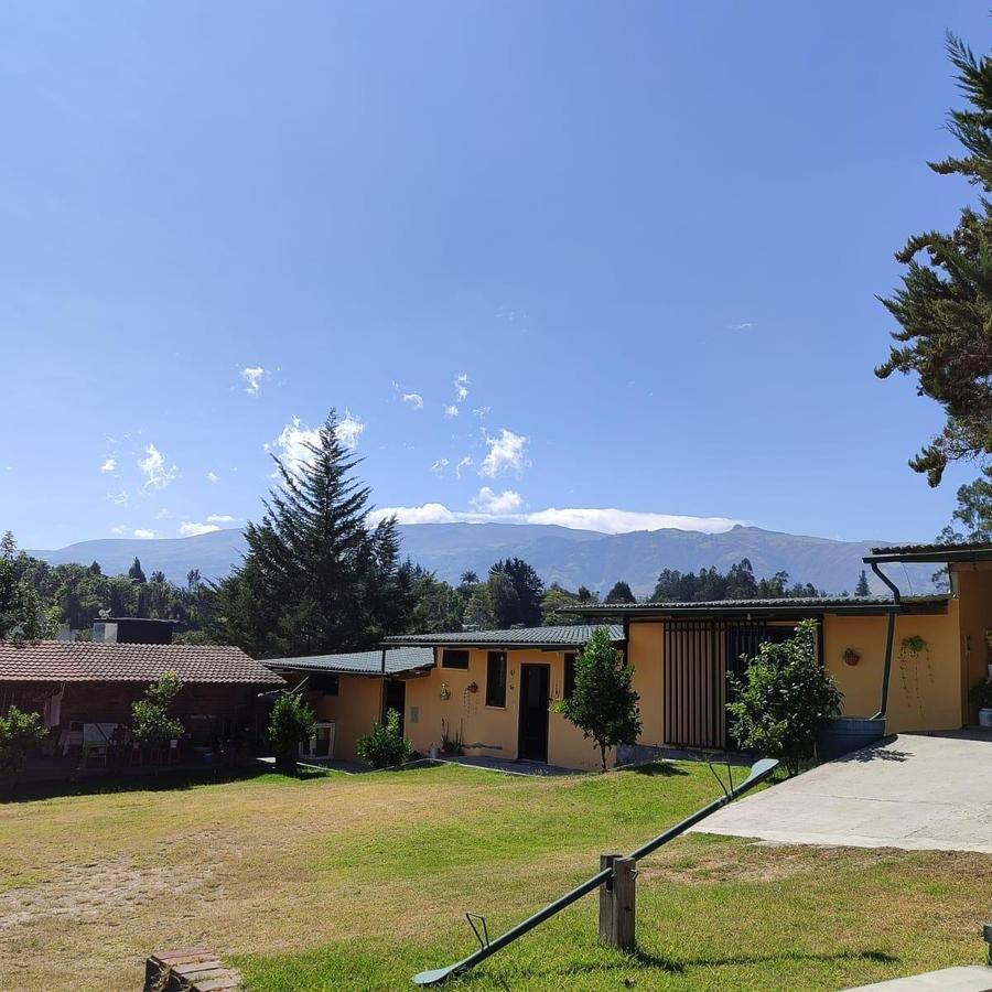 Venta Terreno 2.500 m² Puembo Plaza Marquesina $560.000 — imagen 7