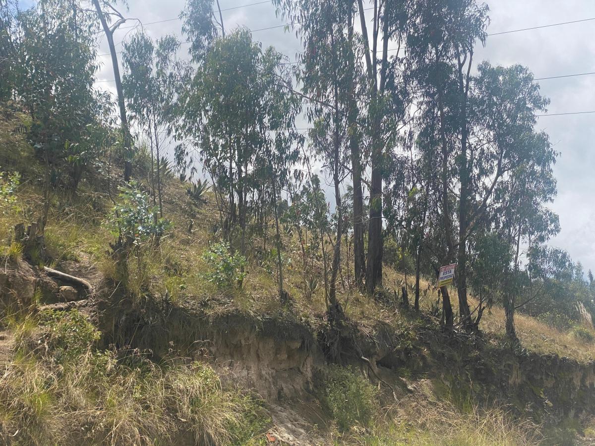 Se Vende Terreno en Pishilata 800 m², Tungurahua — imagen 10