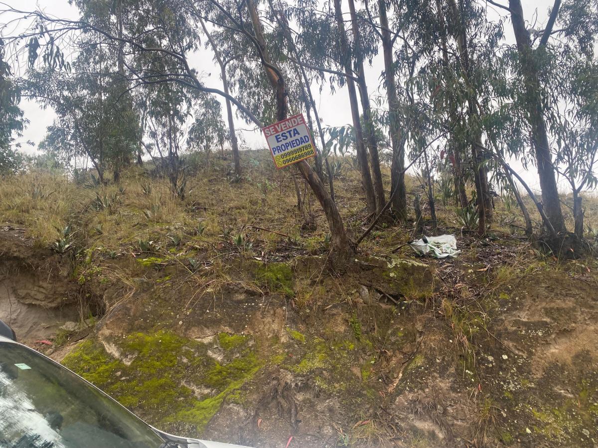 Se Vende Terreno en Pishilata 800 m², Tungurahua — imagen 9