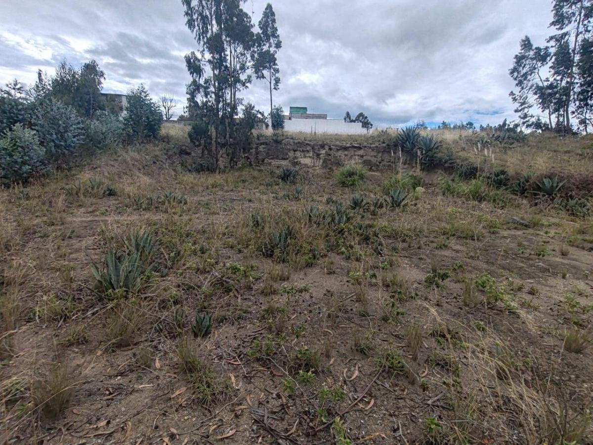 Se Vende Terreno en Pishilata 800 m², Tungurahua — imagen 4